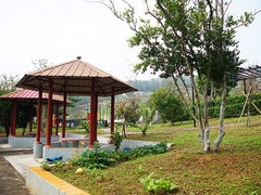 DSC03674