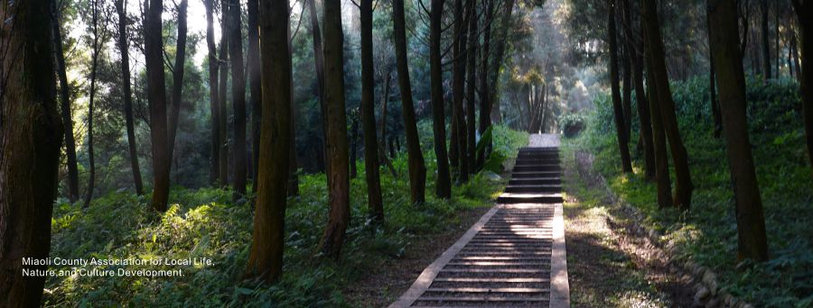 在這寫入圖片說明(例:農田)